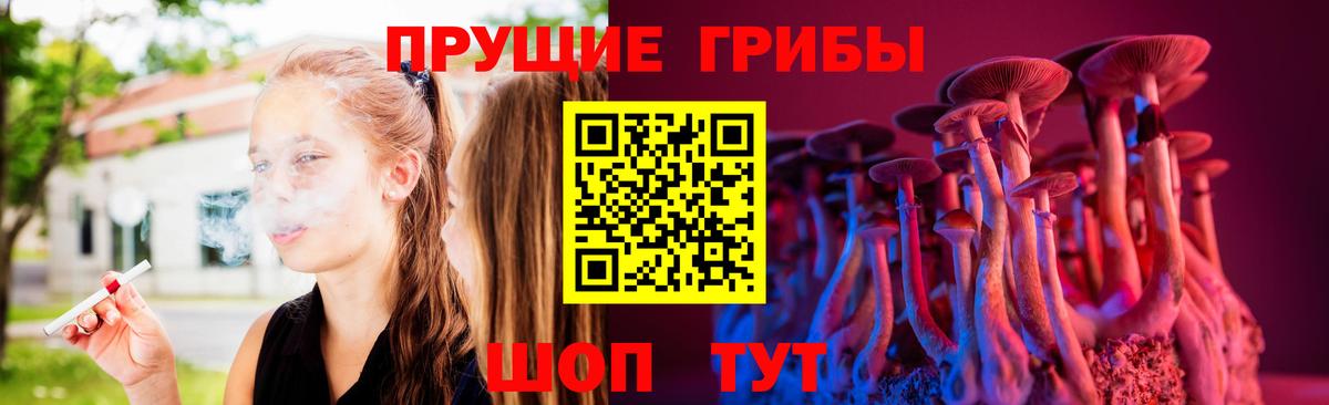 Галлюциногенные грибы Cubensis Сланцы