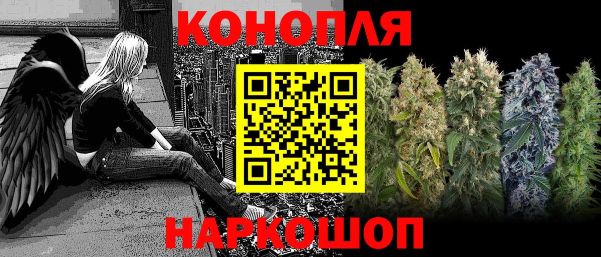 Бошки марихуана Bruce Banner  Каннабис ГИДРОПОН  Вход с VPN  Сланцы  Бошки марихуана OG Kush 